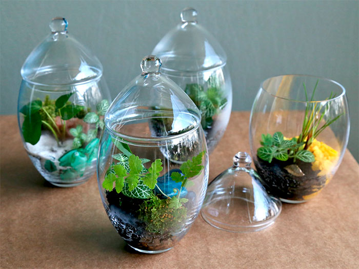 01-Terrario-Bomboniere