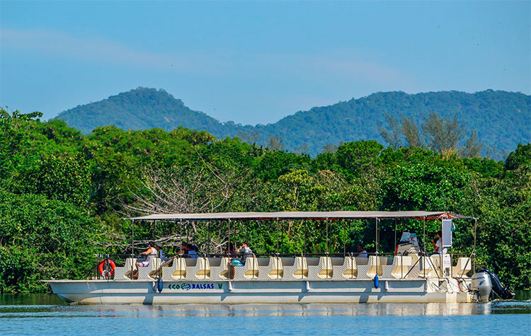 ecobalsa