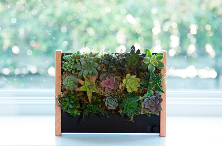 EcoQube-Frame-jardim-vertical-02