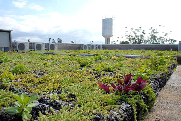 primeira-escola-sustentável-da-América-Latina-e-seus-diferenciais-03