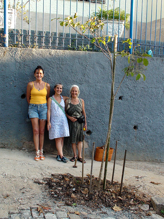 arborização-bairros-rio-de-janeiro-03