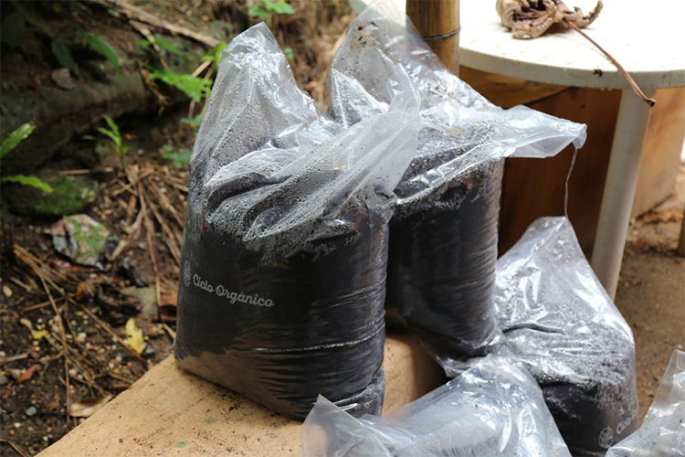 Empresa coleta e composta lixo orgânico