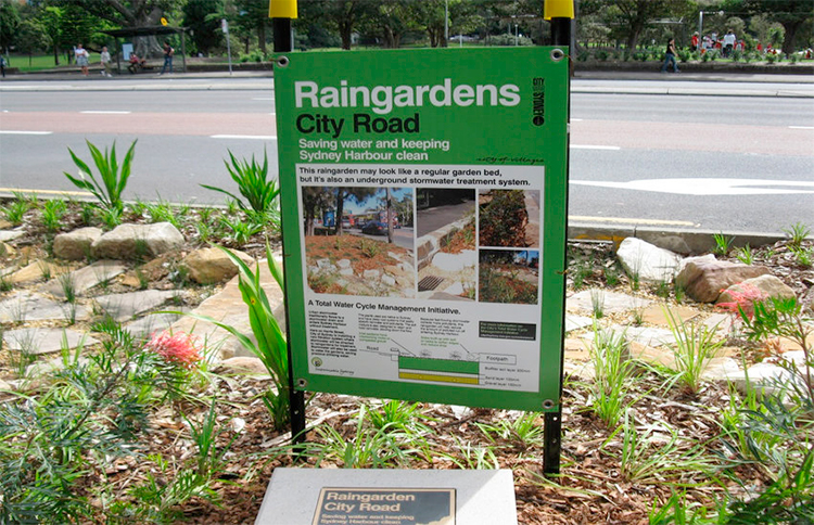 Jardins de chuva diminuem a poluição da água em Sydney