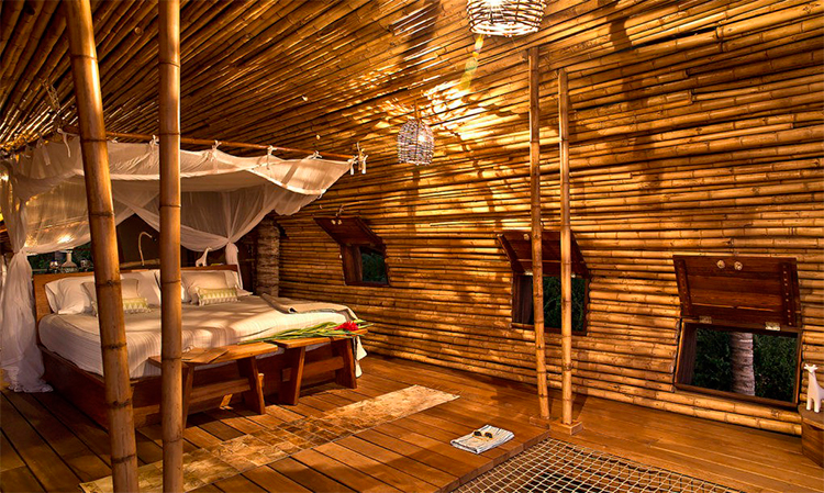 Hotel sustentável no México tem quartos de bambu