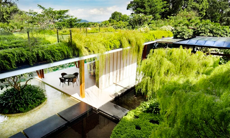 Casa em Cingapura abraça a natureza por todos os ângulos