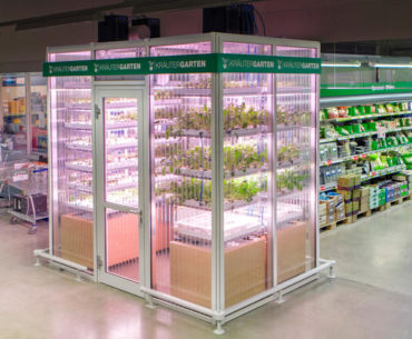 clientes-colhem-legumes-em-mercado