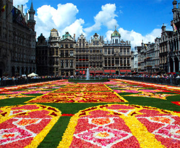bruxelas-tapete-flores