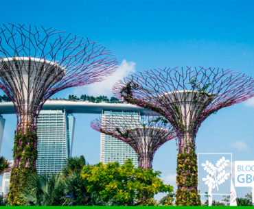 singapura-Blog