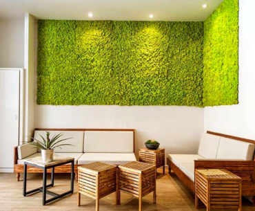 parede-verde-05