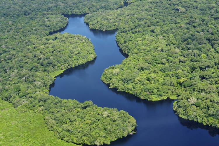 amazonia-leed