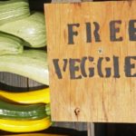 homem-transforma-jardim-em-horta-01