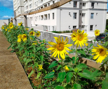 Administradora promueve una revolución sustentable en su condominio