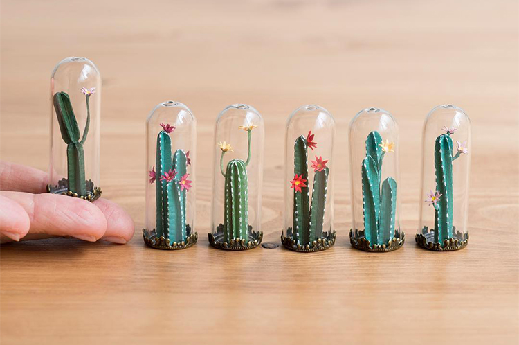 mini-terrarios-papel