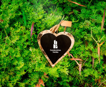 ano novo com contornos verdes