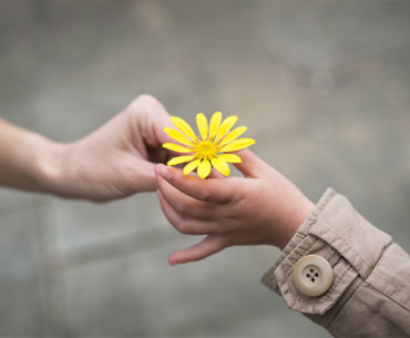 gentileza-gera-gentileza