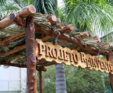 troncos e galhos de árvores reaproveitados