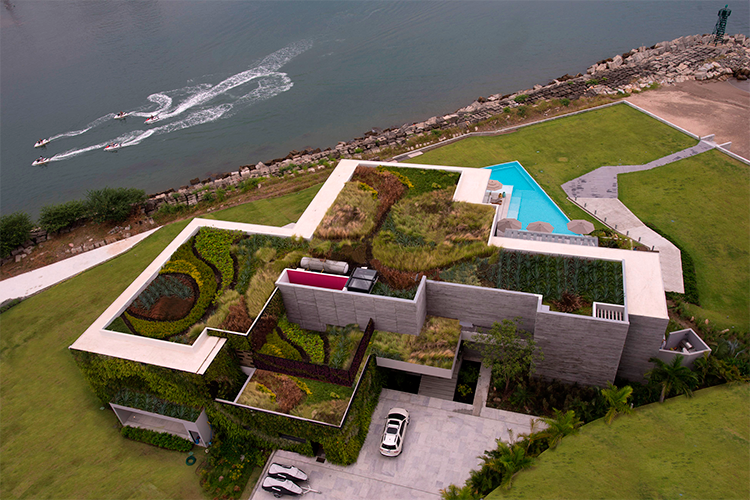 Casa à beira-mar destaca-se por sua cobertura verde