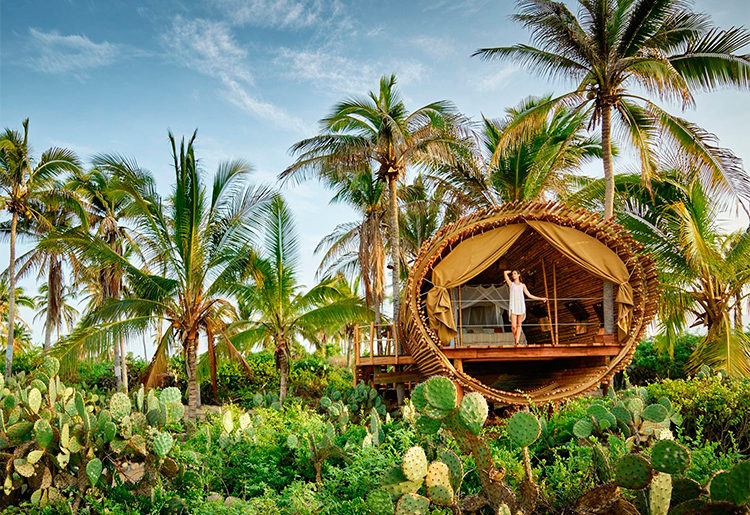 Hotel sustentável no México tem quartos de bambu
