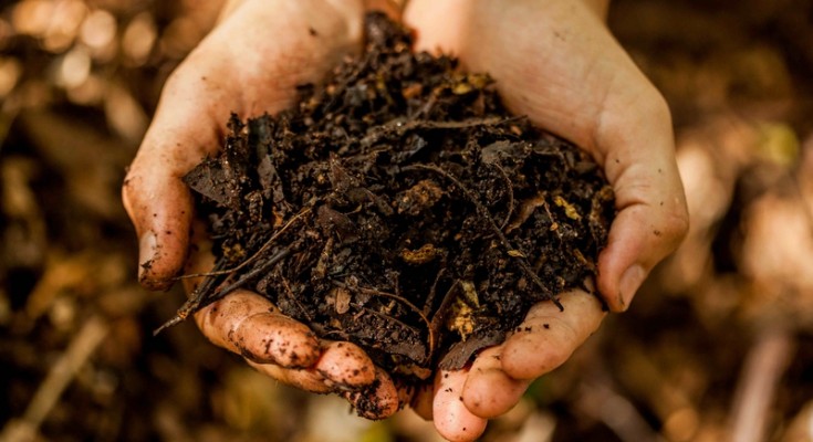 Compostagem doméstica e a promessa de cidades mais sustentáveis -  Condomínios Verdes