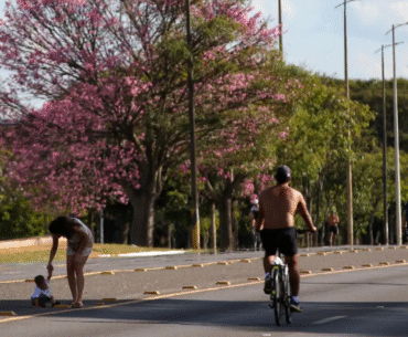 Pesquisa conclui que dois terços dos brasileiros moram em ruas arborizadas