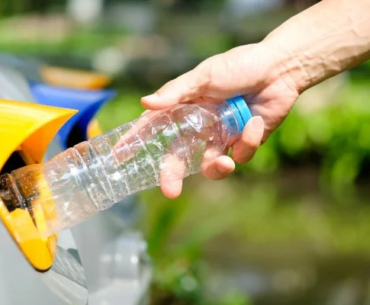 Oito em cada dez brasileiros querem adotar hábitos mais sustentáveis em 2026