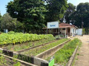 Dica de passeio: Fazendinha Sesc Senac, na Penha, abre agendamento para visitas guiadas à horta agroecológica