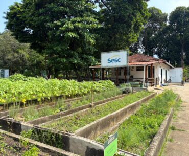 Dica de passeio: Fazendinha Sesc Senac, na Penha, abre agendamento para visitas guiadas à horta agroecológica