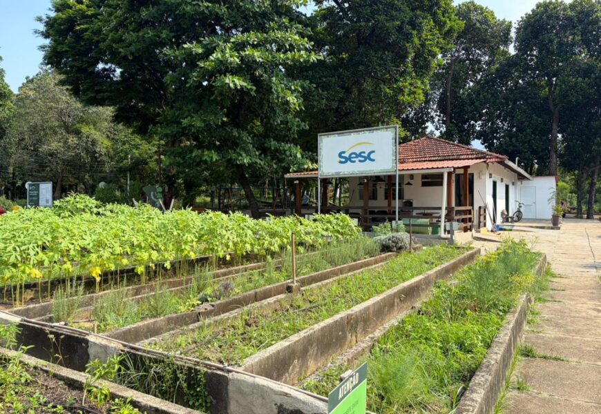 Dica de passeio: Fazendinha Sesc Senac, na Penha, abre agendamento para visitas guiadas à horta agroecológica